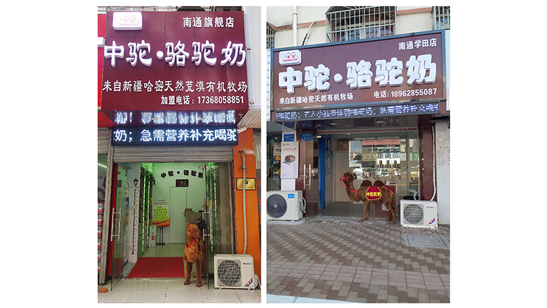 南通市崇川区中驼骆驼奶店,是新疆中驼生物科技有限公司授权的专卖