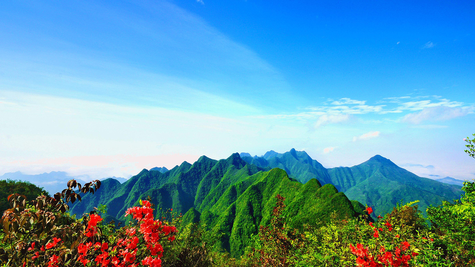 汪清自然保护区图片
