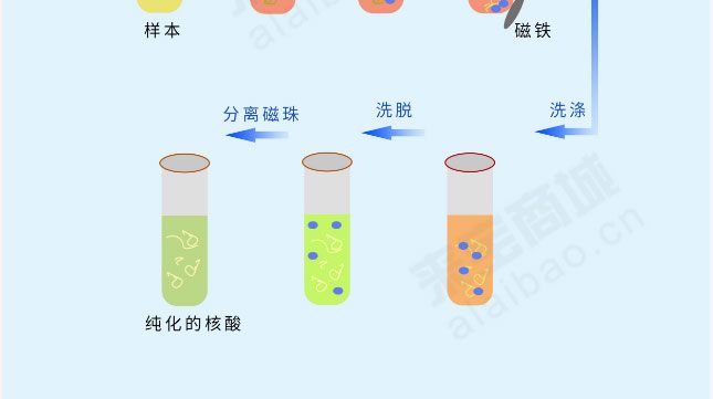 图片上传