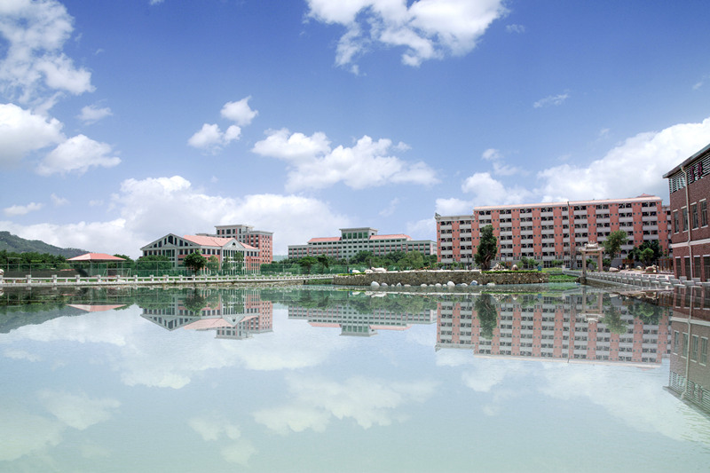 首页